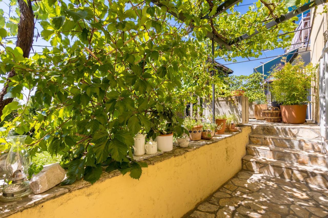 Charming Studio Apartment At House Rustica With Terrace And Nearby Parking Punat Exteriér fotografie